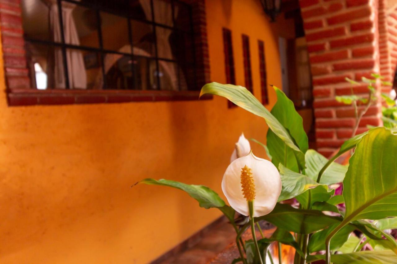 Mex Suites Casa Azul B&B Cidade do México Exterior foto